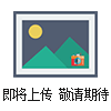 微量計量泵